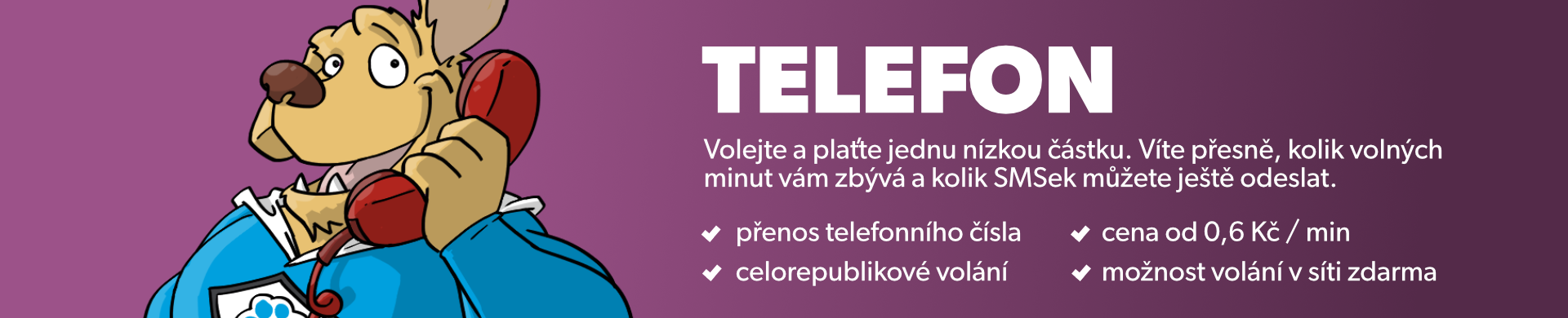 VoIP Telefon